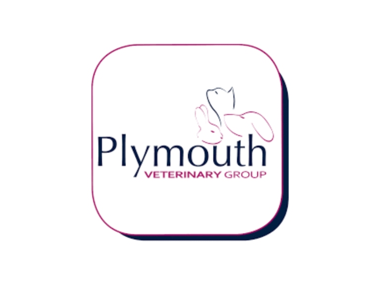 Untitled design 5 768x576