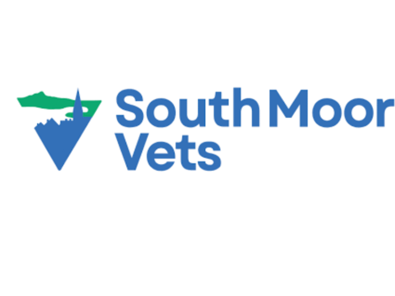 Untitled design 768x576