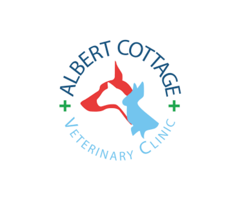 Untitled design 4 768x640