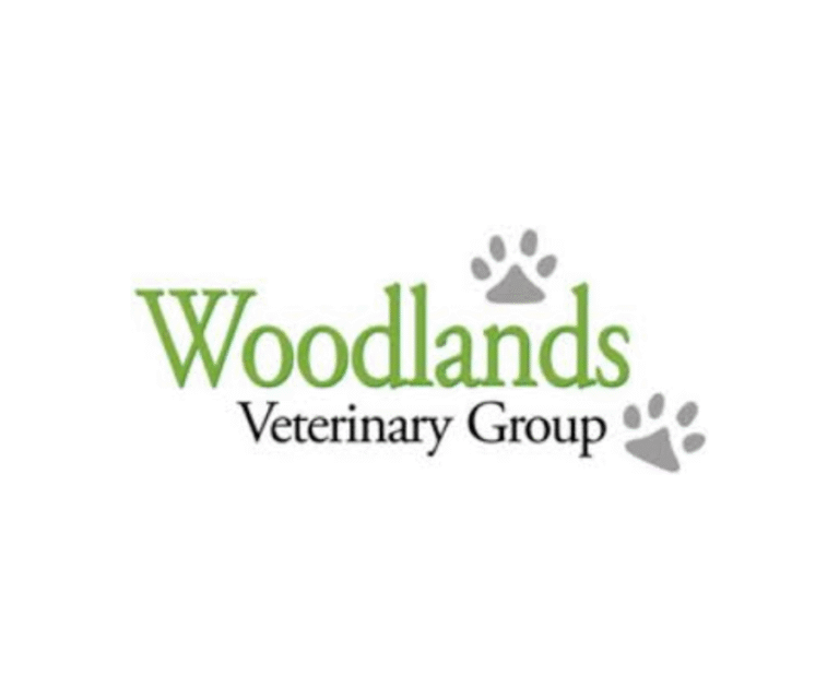 Untitled design 8 768x640