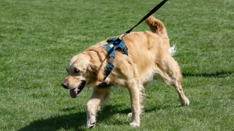 Iixyn3h  h07B5HwXpMSiAX8VPSgVe0p5htr7gV0bOYaqLKFpphdFZwtGikCc8kaKSpmG83AO5fUKWKkEHmYoq7IiwN2tsbKre3vbRQScMlJIZ20ZLH30n5bzhfbL8vQbvmZIzQkj1BTGPfEvizFVWIL Idq2eRZqGVUmRMkPV8OwS7P5wZ9PGxT2aNGNMH0 768x432